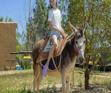 Krazy World Algarve Park: Entry Ticket